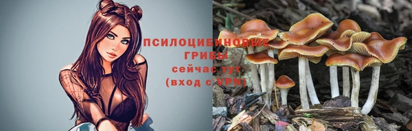 мдпв Усолье-Сибирское