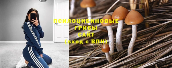 mdma Вяземский