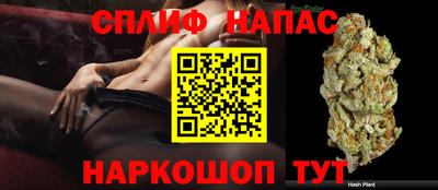 сатива Тулун