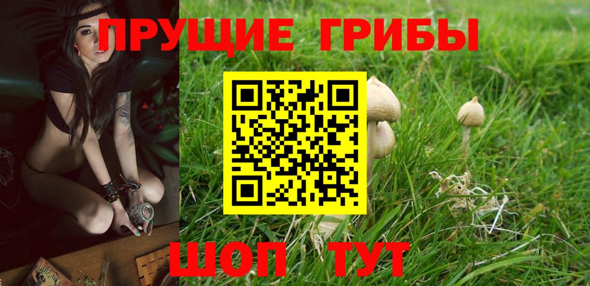 Псилоцибиновые грибы ЛСД Мончегорск